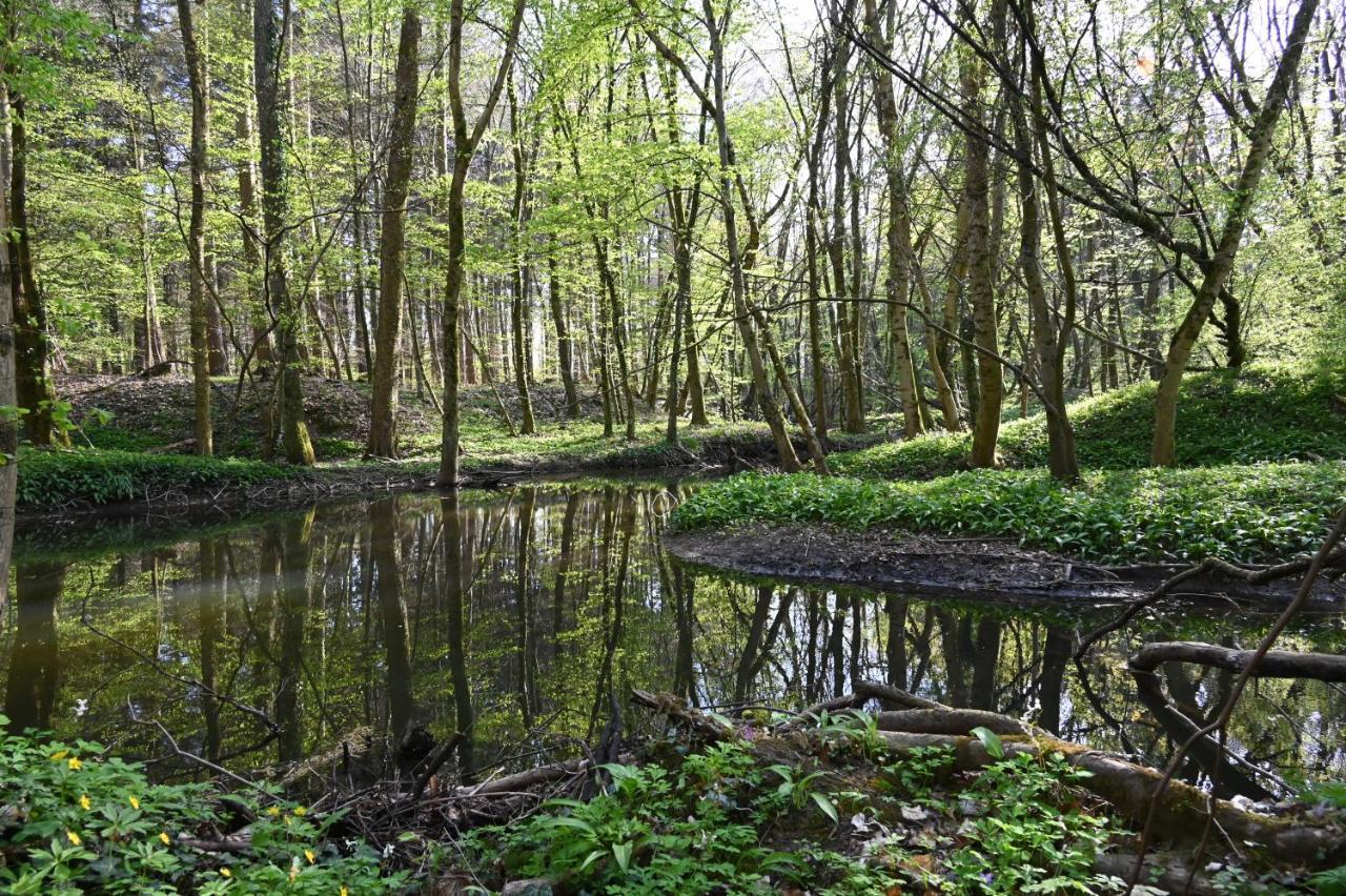 Ferienwohnung Camino Jockgrim Buitenkant foto
